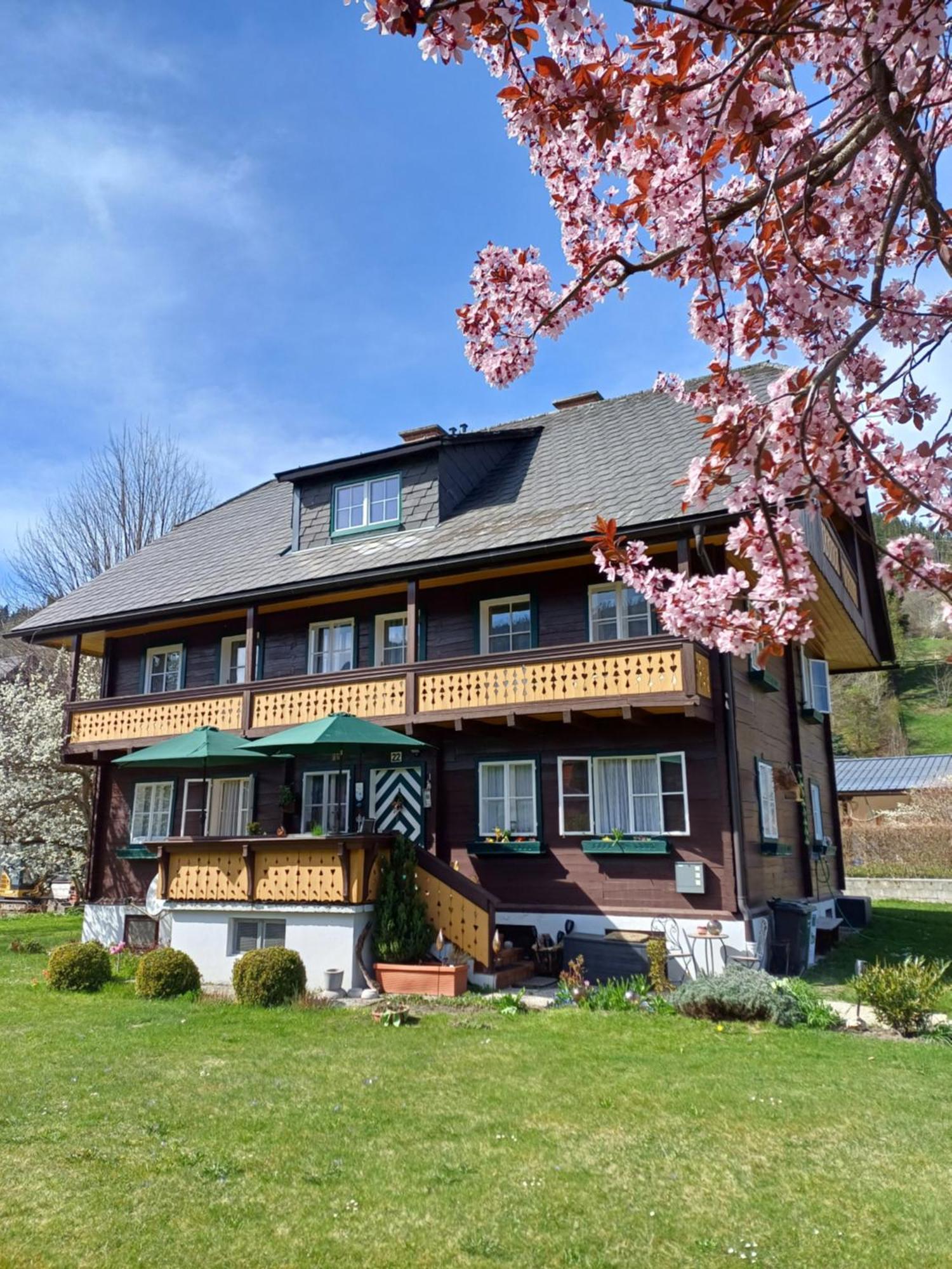 Appartement Steiner Schladming Exterior photo